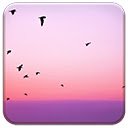 Free Birds  screen for extension Chrome web store in OffiDocs Chromium