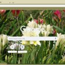 Freesia  screen for extension Chrome web store in OffiDocs Chromium