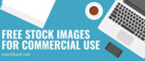 Free download free-stock-images-for-commercial-use-image free photo or picture to be edited with GIMP online image editor