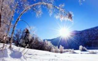 Free download free-winter-scenes-wallpaper free photo or picture to be edited with GIMP online image editor