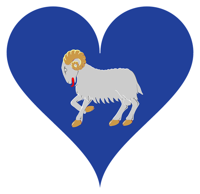 Free download Färöer SheepS Islands Love -  free illustration to be edited with GIMP free online image editor