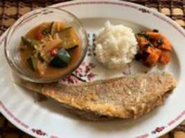 Free download Fried Pacific Corvina Fish free photo or picture to be edited with GIMP online image editor