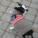Pantalla Friendly With A Decorative Dog Flag para extensión Chrome web store en OffiDocs Chromium