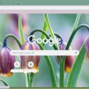 Fritillaria  screen for extension Chrome web store in OffiDocs Chromium