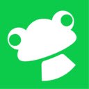 FrogHire.ai H1B Sponsor Checker, Job Analyzer  screen for extension Chrome web store in OffiDocs Chromium