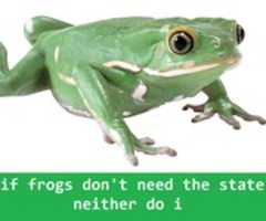 Kostenloser Download Frog kostenloses Foto oder Bild zur Bearbeitung mit GIMP Online-Bildbearbeitung