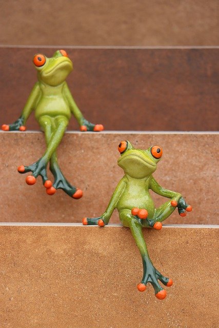 Descarga gratuita Frogs Buddies Grandstand espectadores Imagen gratuita para editar con el editor de imágenes en línea gratuito GIMP