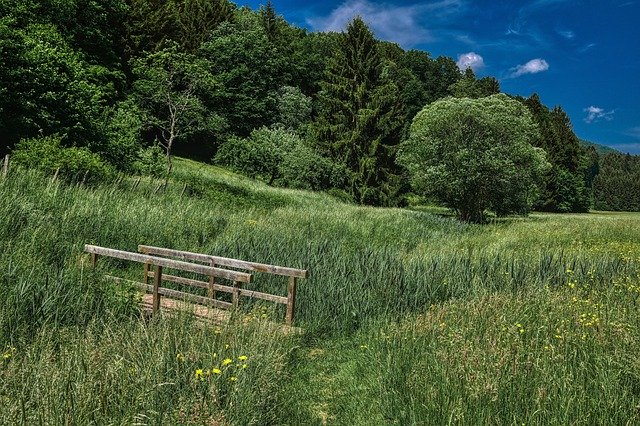 front weidenthal has bridge forest GIMP online editor free Free download front weidenthal has bridge forest free picture to be edited with GIMP free online image editor