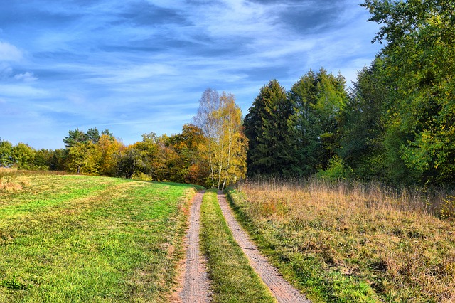 Free download front weidenthal has fall leave free picture to be edited with GIMP free online image editor
