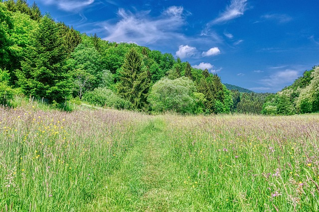 Free download front weidenthal has gorgeous clouds free picture to be edited with GIMP free online image editor
