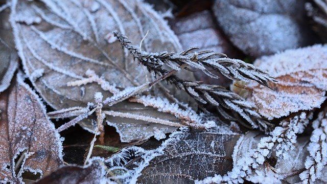 Free download frost ice winter frozen icy free picture to be edited with GIMP free online image editor