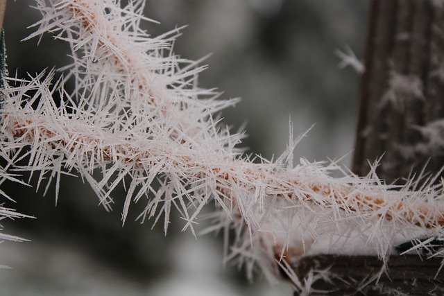 Bezpłatne pobieranie darmowego zdjęcia mroźnego lodu zimowego ogrodzenia z szronem do edycji za pomocą bezpłatnego edytora obrazów online GIMP
