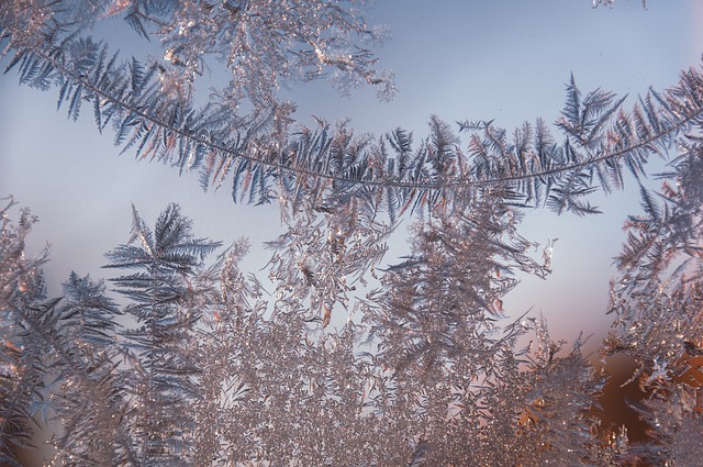 دانلود رایگان عکس رایگان طبیعت زمستانی یخبندان در فضای باز برای ویرایش با ویرایشگر تصویر آنلاین رایگان GIMP