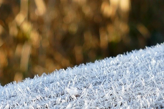 הורדה חינם של עונת החורף כפור טקסטורת בשלה תמונה בחינם לעריכה עם עורך תמונות מקוון חינמי של GIMP