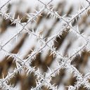 Frozen Fence  screen for extension Chrome web store in OffiDocs Chromium