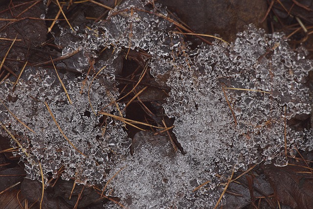 Бесплатно скачать замороженные кристаллы льда мороз зима бесплатное изображение для редактирования в GIMP бесплатный онлайн-редактор изображений