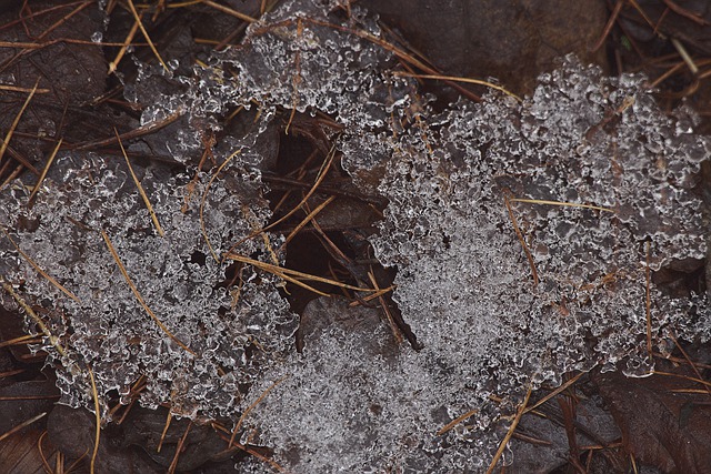 Free download frozen ice crystals frost winter free picture to be edited with GIMP free online image editor
