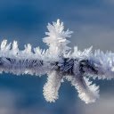 Frozen steel wire  screen for extension Chrome web store in OffiDocs Chromium