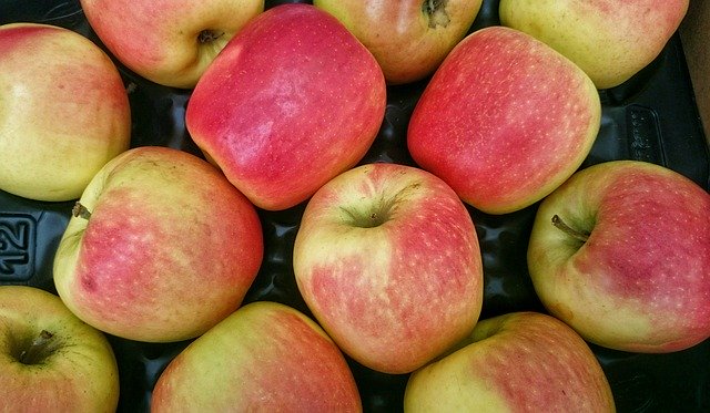 Bezpłatne pobieranie ekologicznych zdjęć dojrzałych jabłek do edycji za pomocą bezpłatnego internetowego edytora obrazów GIMP