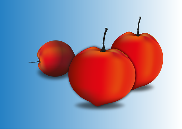 Free download Fruits Apricot Draw Free -  free illustration to be edited with GIMP free online image editor