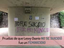 Free download Fue Feminicidio Lesvy Osorio free photo or picture to be edited with GIMP online image editor