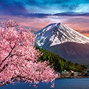 Fuji mountain with cherry blossoms in spring, Japan  screen for extension Chrome web store in OffiDocs Chromium