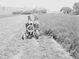 Free download Fuller F8295 mowing clover free photo or picture to be edited with GIMP online image editor