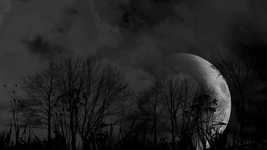 دانلود رایگان Full Moon Dark Night Moonlight - ویدیوی رایگان قابل ویرایش با ویرایشگر ویدیوی آنلاین OpenShot