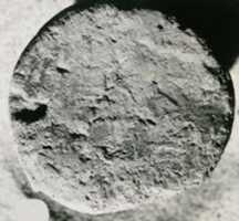 Free download Funerary Cone of the Steward of the Vizier Amenemhat free photo or picture to be edited with GIMP online image editor