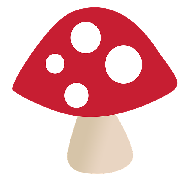 Безкоштовно завантажте Fungus Nature Mushrooms — безкоштовну фотографію чи зображення для редагування за допомогою онлайн-редактора зображень GIMP