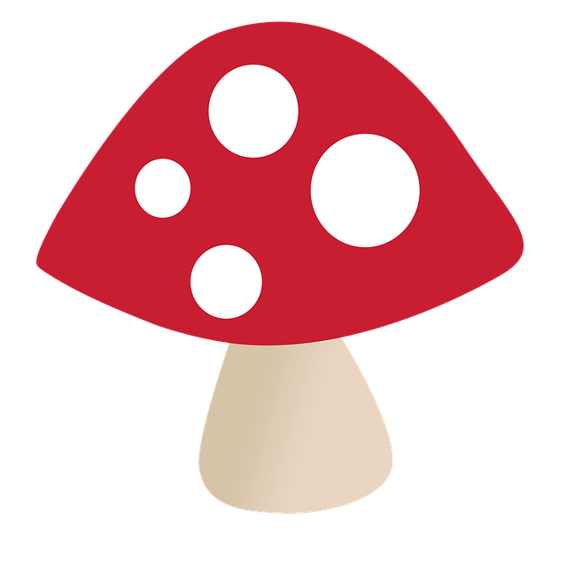 Libreng download Fungus Nature Mushrooms - libreng larawan o larawan na ie-edit gamit ang GIMP online na editor ng imahe