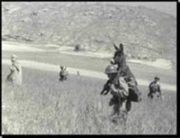 Free download Funny Military Pictures ( 56) free photo or picture to be edited with GIMP online image editor