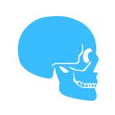 Fun with Anatomy: 3D Skeletal Edition  screen for extension Chrome web store in OffiDocs Chromium