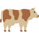 Furry Highland Cattle in Autumn Field  screen for extension Chrome web store in OffiDocs Chromium