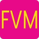 FVM Go  screen for extension Chrome web store in OffiDocs Chromium