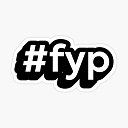 FYP Scripts  screen for extension Chrome web store in OffiDocs Chromium