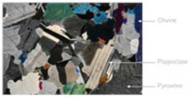 Free download gabbro free photo or picture to be edited with GIMP online image editor