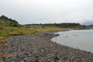 Free download Gable Island shore free photo or picture to be edited with GIMP online image editor