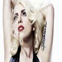 ดาวน์โหลดรูปภาพหรือรูปภาพฟรีของ Gaga ฟรีเพื่อแก้ไขด้วยโปรแกรมแก้ไขรูปภาพ GIMP ออนไลน์