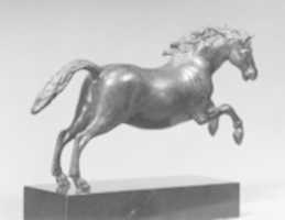 Free download Galloping Horse free photo or picture to be edited with GIMP online image editor