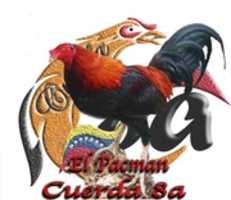 Free download GALLOS DE PELEA free photo or picture to be edited with GIMP online image editor