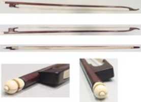 Free download Gamba Bow free photo or picture to be edited with GIMP online image editor