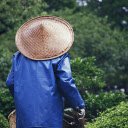 Garden caretaker  screen for extension Chrome web store in OffiDocs Chromium