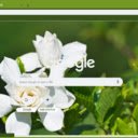 Gardenia  screen for extension Chrome web store in OffiDocs Chromium