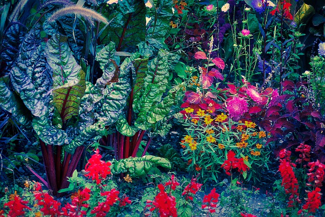 Free download garden vegetables leaf plants bed free picture to be edited with GIMP free online image editor