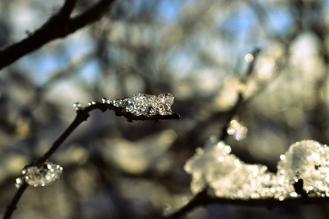 免费下载花园冬天雪冰免费图片可使用 GIMP 免费在线图像编辑器进行编辑