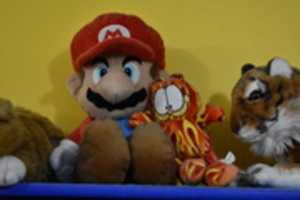 Free download Garfield and Mario free photo or picture to be edited with GIMP online image editor