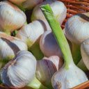 Garlic – A Culinary Essential and Symbol of Vitality  screen for extension Chrome web store in OffiDocs Chromium