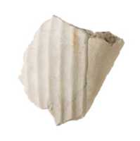 Free download Garment fragment, probably sash kilt at the knee free photo or picture to be edited with GIMP online image editor