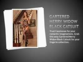 Free download Gartered Merry Widow Black Catsuit  free photo or picture to be edited with GIMP online image editor